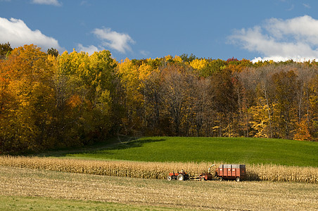秋季农业图片