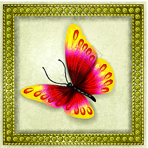 带蝴蝶的抽象后背飞行框架艺术脆弱性翅膀白色彩虹装饰品插图君主图片
