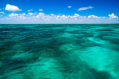 热带海洋边缘阳光假期地平线棕榈太阳蓝色海岸线场景旅行图片