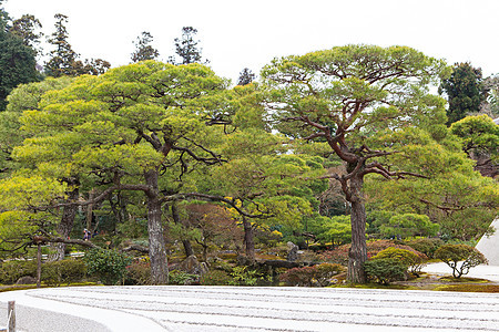 银阁寺  日本京都国家景点佛教徒国宝花园寺庙历史历史性建筑遗产图片