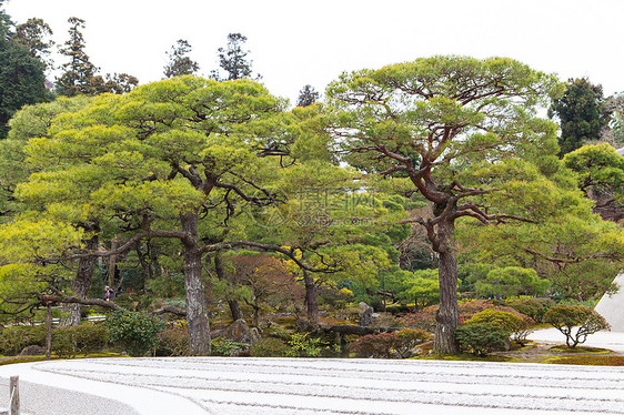 银阁寺  日本京都国家景点佛教徒国宝花园寺庙历史历史性建筑遗产图片