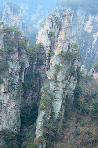 深山公园旅游爬坡松树地标森林风景假期岩石旅行图片