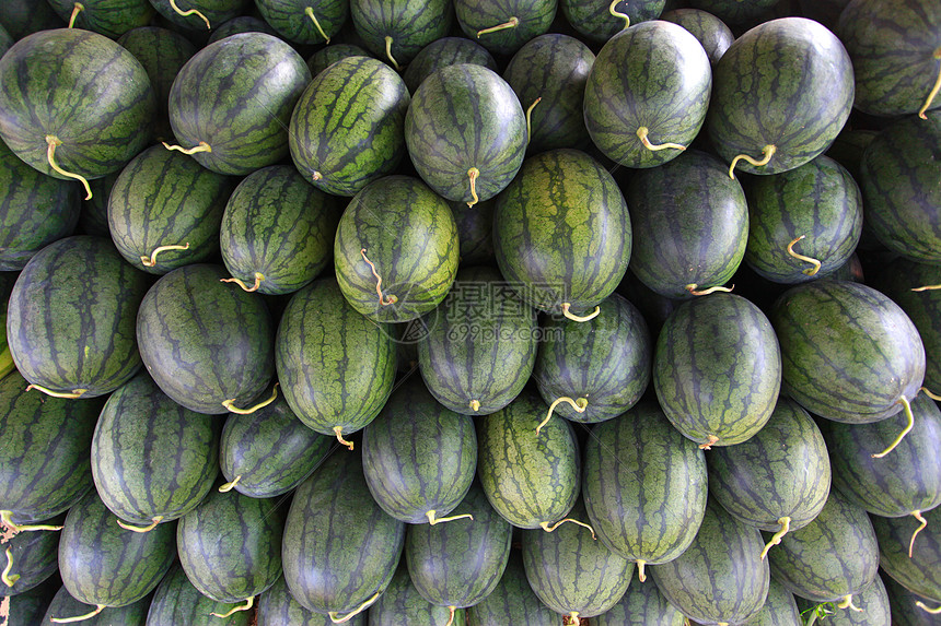 西瓜饮食收获食物蔬菜水果背景绿色图片