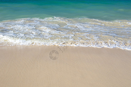 海 海海景假期热带海浪冲浪天堂支撑太阳阳光旅行图片