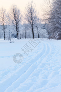 冬季风景场地薄雾雪花场景故事明信片季节花园木头衬套图片