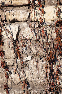旧墙墙线条墙纸水泥黏土棕色生活历史瓦砾石头岩石图片