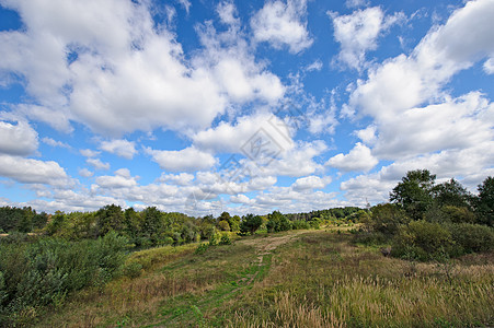 夏季农村景观木头公园森林池塘天空地平线阳光场地叶子季节图片