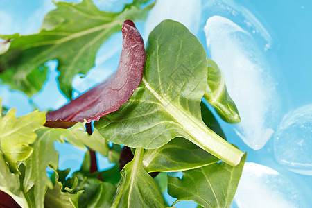 新鲜沙拉叶炊具菊苣火箭菠菜蔬菜花园美食盘子蓝色绿色图片