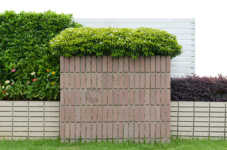 墙草砖墙上的花园栅栏花岗岩植物碎石石头衬套房子岩石卵石灌木背景