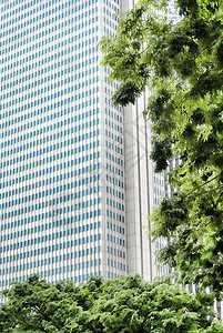 摩天大楼地板树叶水泥叶子城市建筑玻璃商业建筑学曲线图片