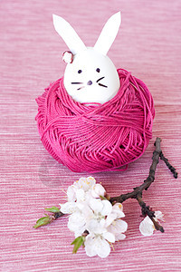 装饰复活节兔子和樱花 在粉红背景上图片