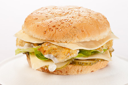盘子里的芝士汉堡包子洋葱沙拉种子午餐野餐饮食芝麻营养面包图片