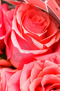 漂亮的玫瑰花情感花瓣疗法活力花束生日礼物婚礼展示淋浴图片