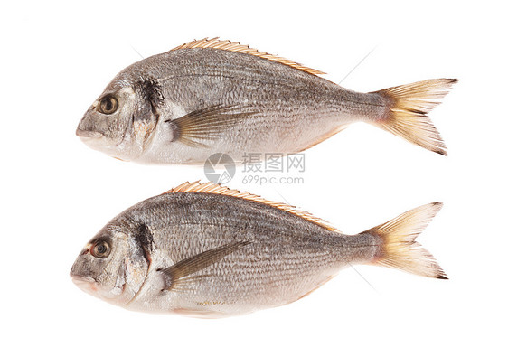 白底孤立的多拉多鱼食物镀金头厨房海鲜尾巴海洋图片
