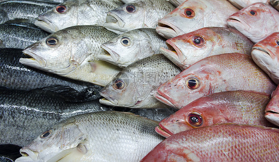 鱼类的杂类甲壳团体钓鱼市场肉类收藏渔夫海鲜摊位盐水图片
