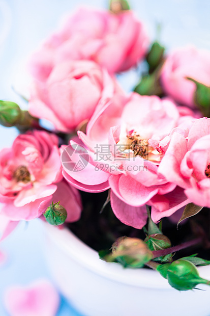 漂亮的鲜花婚礼荒野魅力红色花瓶玫瑰植物明信片织物风格图片