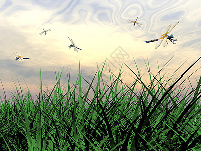 跳舞的蝇昆虫蓝色蜻蜓翅膀季节草本植物天空叶子日落场景图片