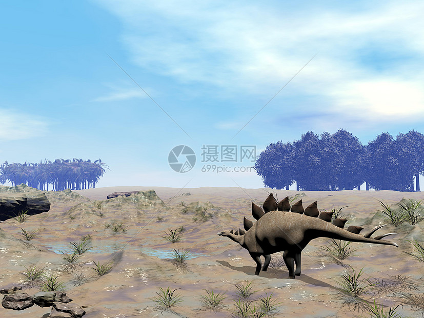寻找水的Stegosaurus图片