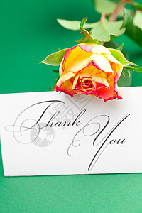 在绿背景上感谢您 并签名了玫瑰牌场地脚本写作雏菊植物感激叶子回应礼物卡片图片