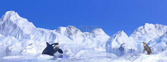 冰山间会议  3D荒野海洋皇帝气氛波浪地平线天气文章企鹅哺乳动物图片