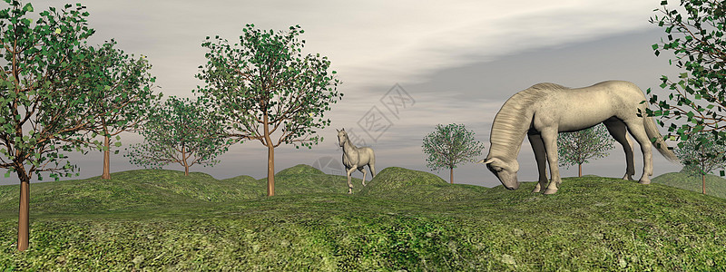 灰色漂白马的自然性质 - 3D图片