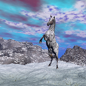 马在山中养马 3D制成图片