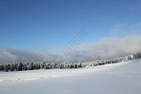 瑞士冬季的Jura山Jura山天空季节气候针叶全景高地天气环境森林降雪图片