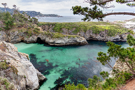 Point Lobos州自然保护区构造海洋保护区地质生态外景海景崎岖岩石栖息地图片