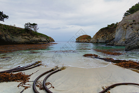 Point Lobos州自然保护区保护区悬崖外景崎岖地质海洋构造海景岩石生态图片