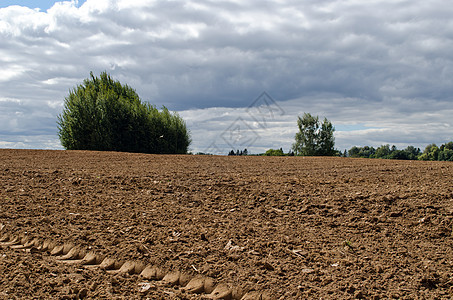 种植土壤的耕种农业农田树木图片