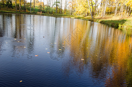 秋天落下湖水多彩的树反光图片