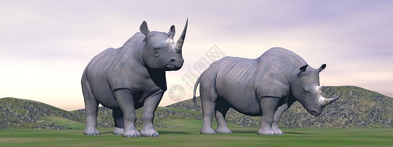 丢失的犀牛 - 3D图片