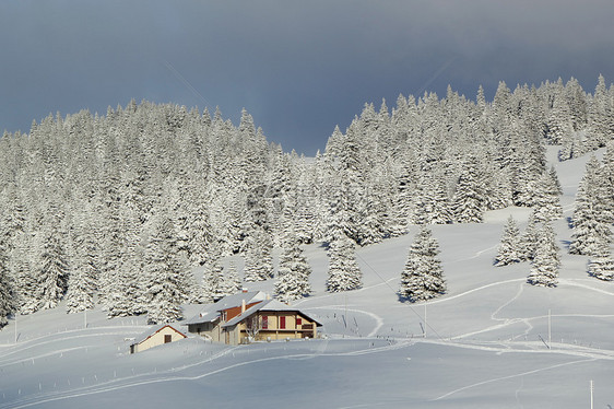 冬天的房子和fir树 瑞士Jura山图片