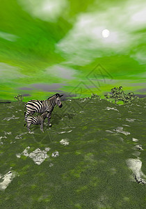 草原上的母亲和婴儿斑马-3D图片