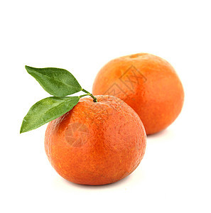 新鲜普通新纳丁果皮小吃果汁食物橙子叶子柑桔饮食美食甜点图片