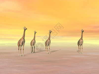 沙漠中的法拉菲斯  三维化身插图阴霾场景天空阳光日出大草原土地日落风景图片