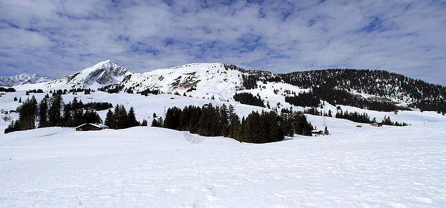 旱季冬季风景 瑞士沃德图片