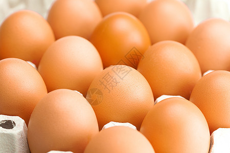 在包件中的鸡蛋 在白色上隔开食物营养包装棕色盒子早餐店铺团体市场纸板图片