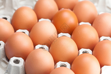 在包件中的鸡蛋 在白色上隔开纸板营养纸盒店铺盒子食物早餐市场包装团体图片