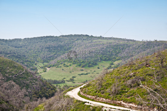 以色列北部的自然公园树木森林山脉天空图片