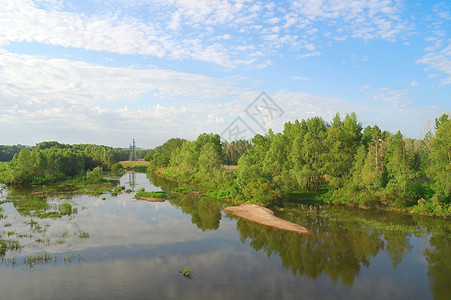 有树木的夏月风景季节农村支撑环境叶子公园天空墙纸海岸阳光图片