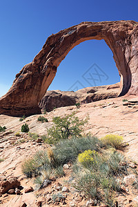 垂直视图国家气候公园砂岩远足沙漠旅行地质学编队石头图片