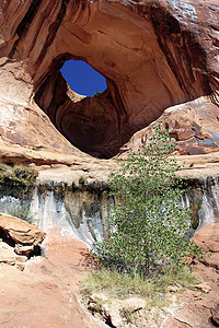 垂直视图小道荒野领结游客地质学沙漠假期峡谷岩石石头图片