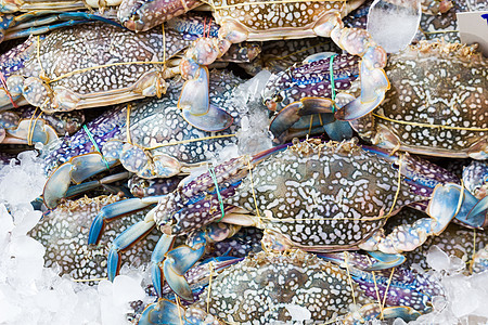 蓝蟹蓝色野生动物餐厅美味居住海洋篮子生活渔业甲壳图片