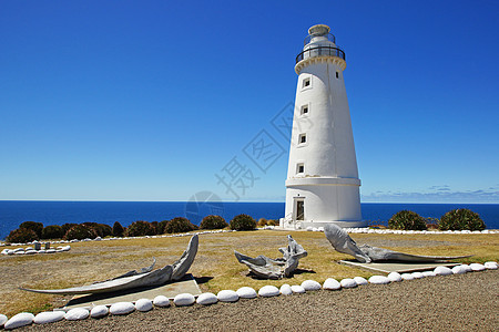 澳大利亚 卡普威洛比海岸建筑旅行全景白色悬崖海岸线地标航海假期图片
