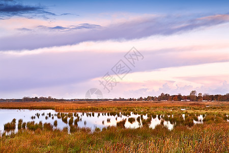 日出在沼泽上天空荒野风景地平线戏剧性粉色农村乡村反射图片