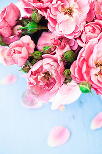 漂亮的鲜花创造力粉色织物红色魅力荒野风格花瓶花瓣墙纸图片