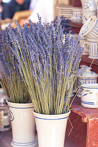 在集市的花瓶里放着干叶子花保健市场卫生植物花朵花瓣农场花束黏土季节图片