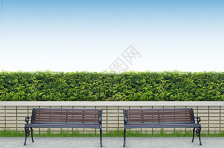 长凳和砖墙背景灌木蓝色树篱衬套绿色建筑学天空叶子栅栏图片