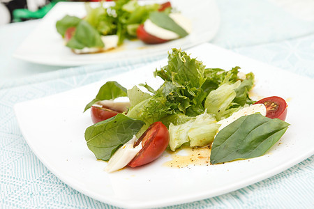 沙拉加马扎里拉 西红柿和巴西尔白色早餐盘子红色食物叶子沙拉青菜小吃午餐图片